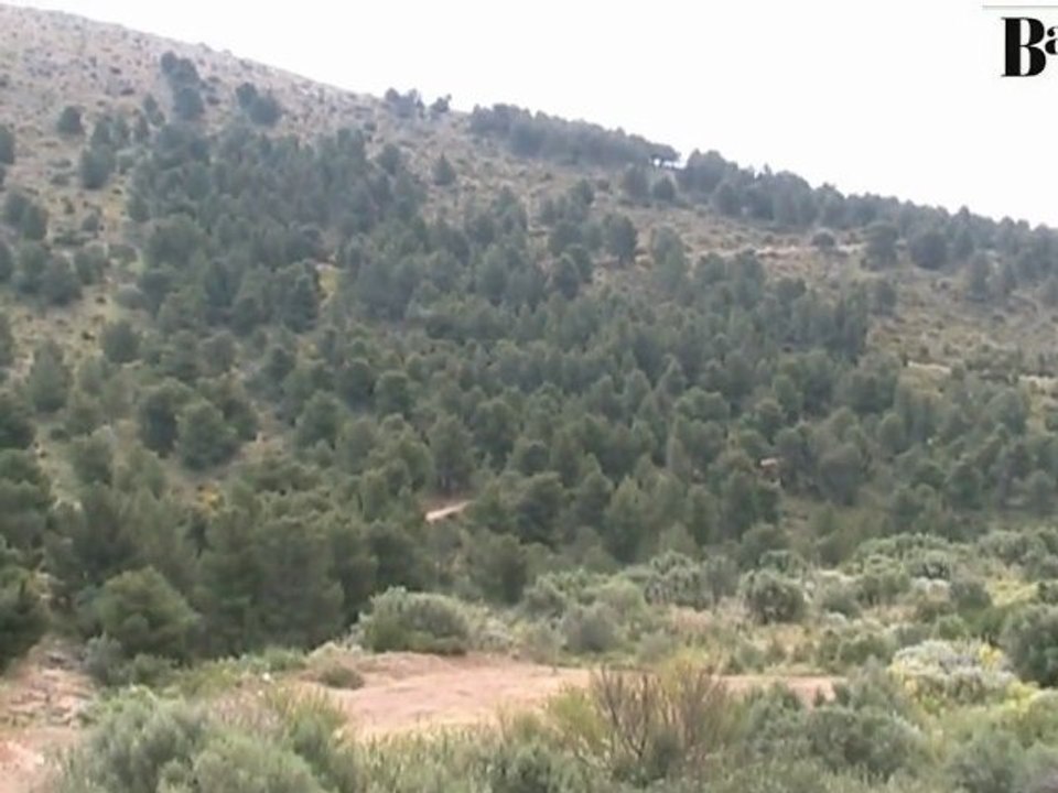 Intervista a Biagio Sciortino su Monte Catalfano