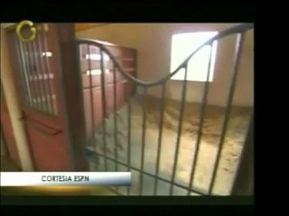 Los caballos del equipo de polo del millonario Victor Vargas