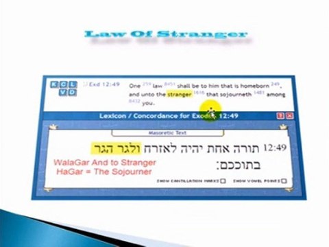 Pt.2 The Strangers Who Are They