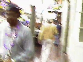 Carnival 2011 - Pit Bulls