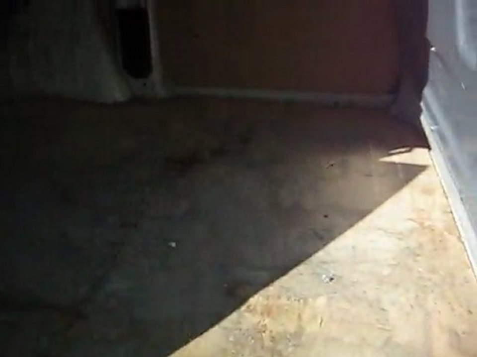 UTILITAIRE FIAT SCUDO