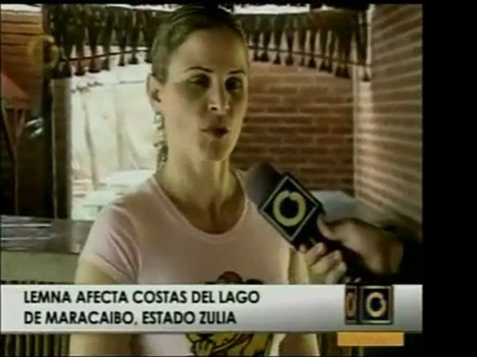 La Lepna en el lago de Maracaibo afecta la calidad de vida y