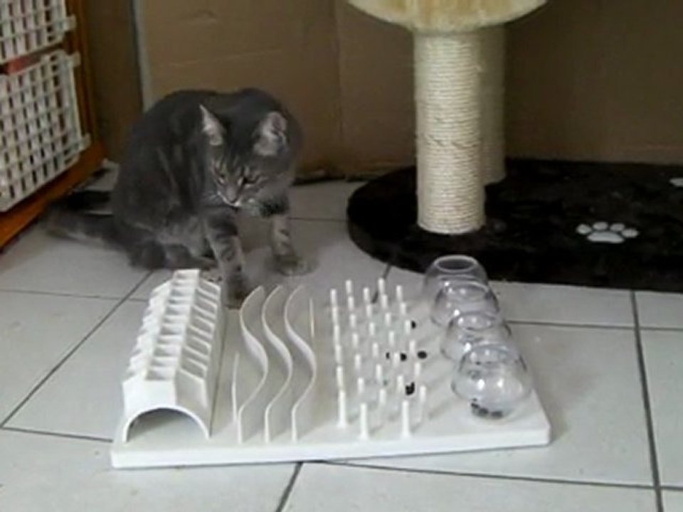 Sae qui maîtrise le cat board !