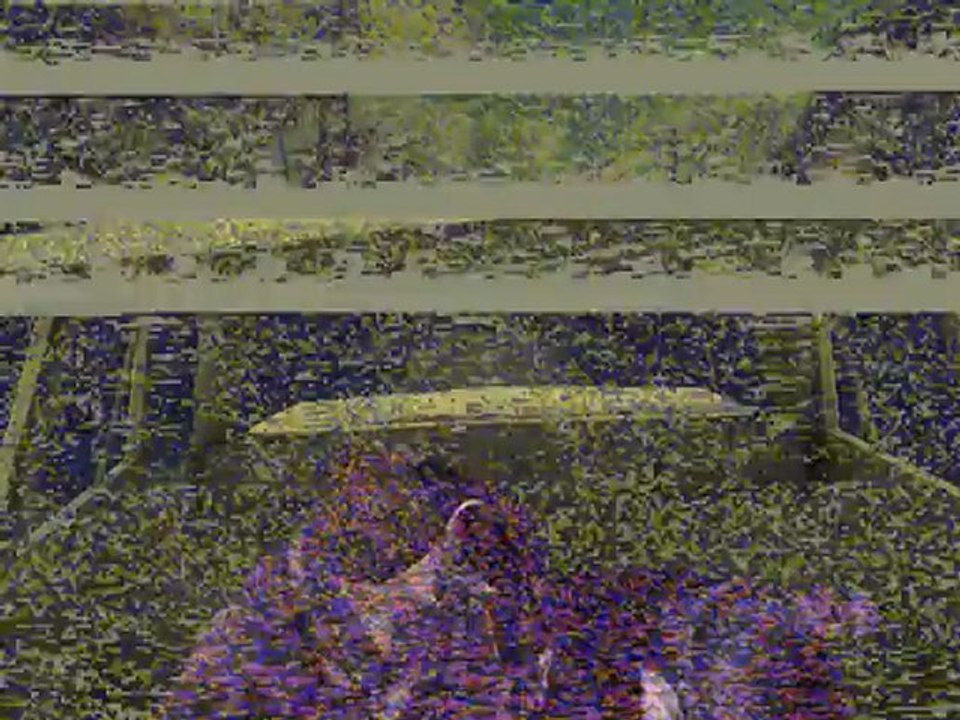 What is gmod?