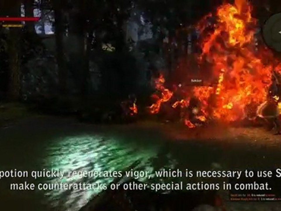 [HD] The Witcher 2: Assassins of Kings - Dev Diary 5