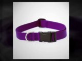 Reflective Dog Collar