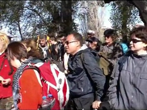 Buca Kaynaklar 980 yaşında tarihi Kunduracı Çınarı