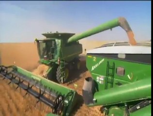 Race Against Time to Harvest