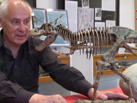 Association paléontologique de Villers-sur-Mer