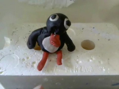 Pat the penguin tells us the difference between animals in the wild and animals in zoos