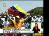 Una marcha de estudiantes universitarios tomó la Avenida Int