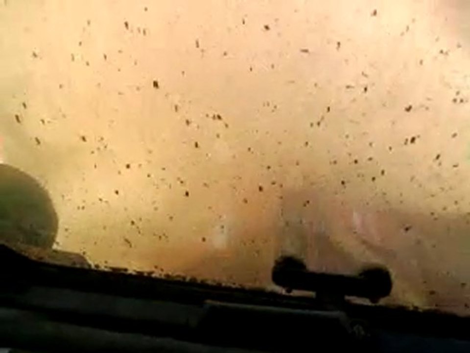 Vidéo0054 passage de la herse rotative