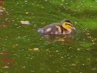 Seconds of Eternity (17/100)