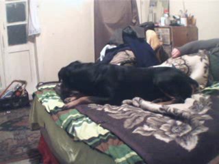 zsd(00h00m00s-00h00m40s)