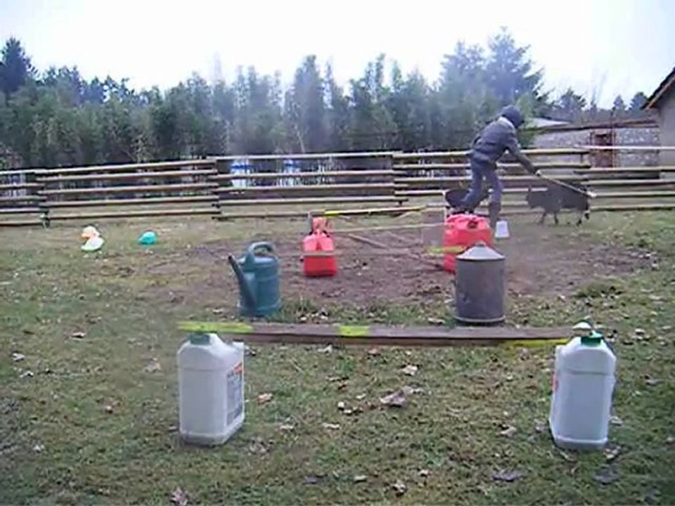 astérix mon bouc entrain de sauter