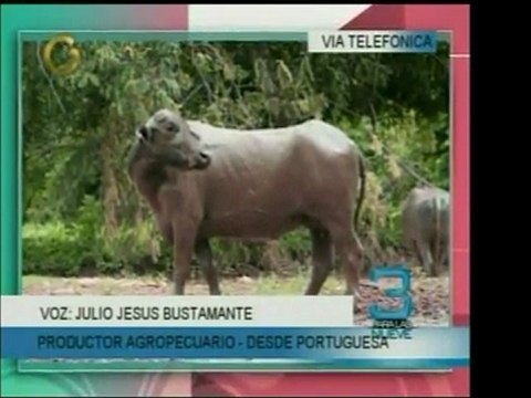 Conversación con el ganadero Julio Jesús Bustamante, de Port