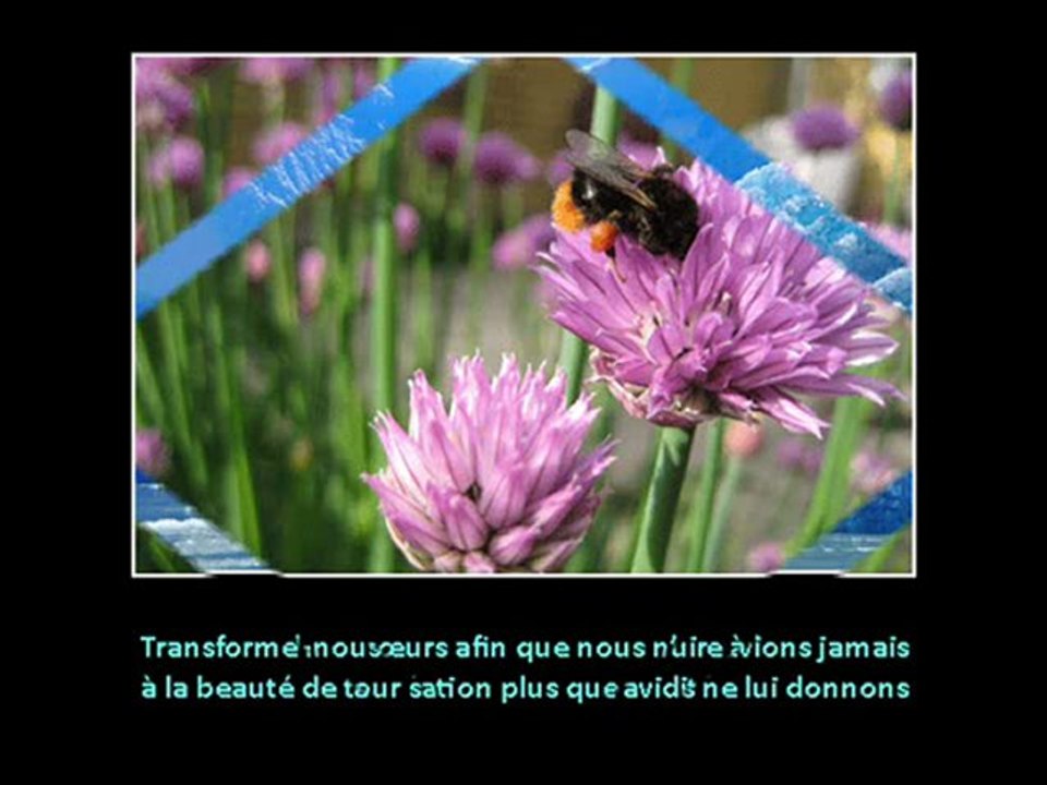 Hommage à Gaïa
