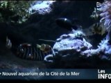Nouvel aquarium à la Cité de la Mer (Cherbourg)
