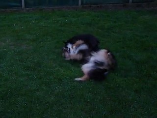 Dune et son pote l australien ALKAN