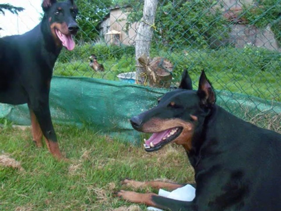 nos vacances a urcier le 21 avril 2011