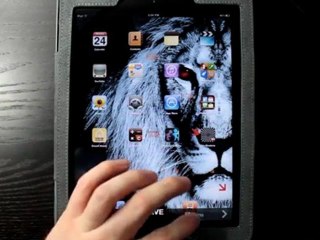 Pimp Your Screen iPad App Demo - DailyAppShow