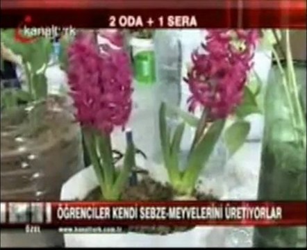 KANAL TÜRK ANA HABERDE EVSERA İLE HABER