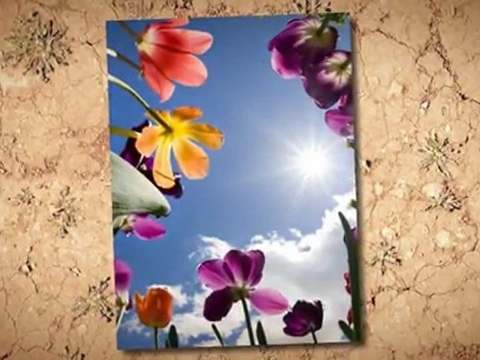 Orthotics Alpharetta, Orthotics Atlanta, Alpharetta Orthotics