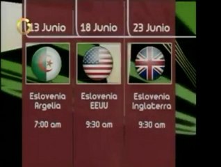 Perfil de la selección de fútbol de Eslovenia, la cual luchó