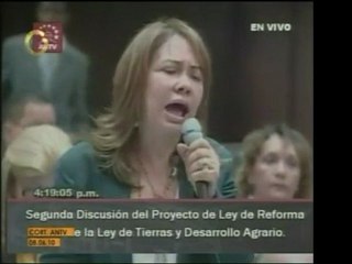 En la Asamblea Nacional se activó un debate acerca de la pro