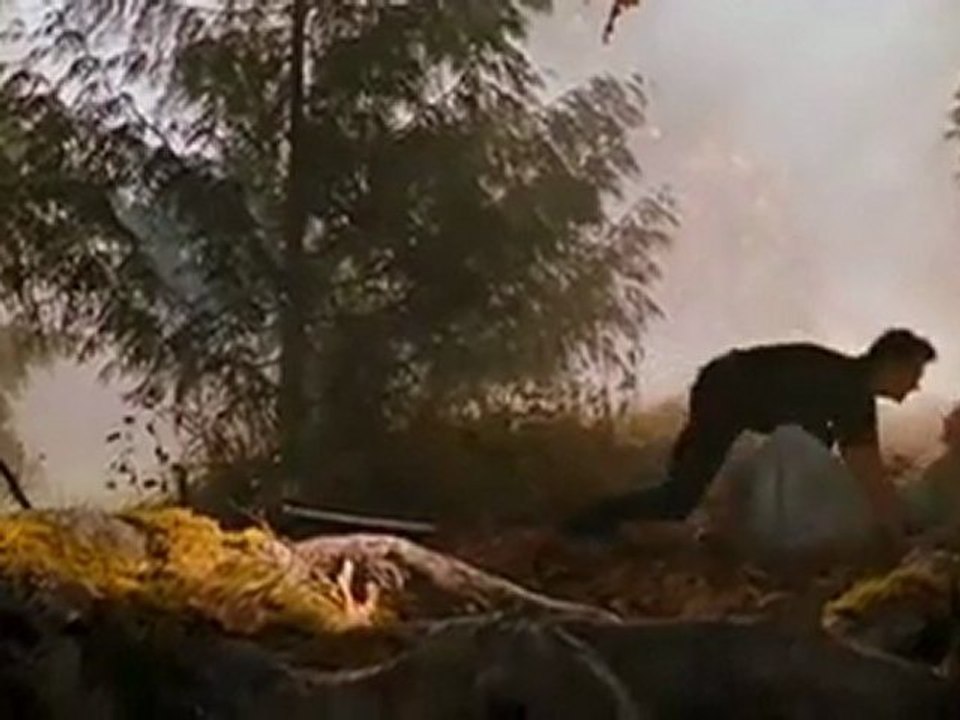 Red Riding Hood trailer