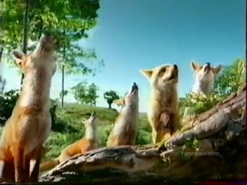 Publicité - Boursin (Le corbeau et les renards) 2000