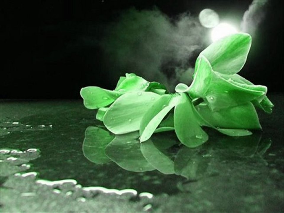 Enbe Orkestrası- Dolasayim Damarlarinda (Ziynet Sali)