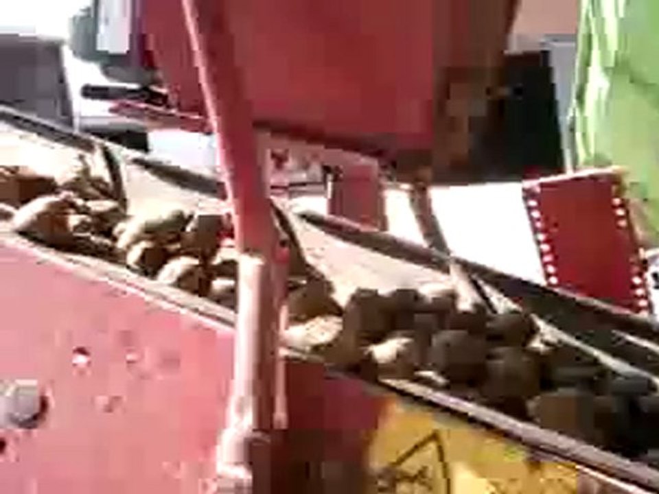 Chargement de pomme de terre