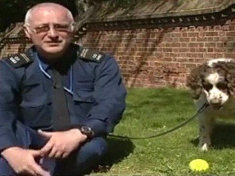 Sniffer dogs help police ahead of Royal wedding