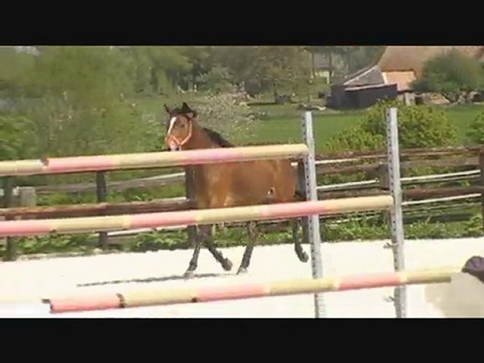 jument ps 3 ans a vendre