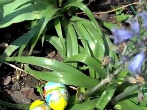 L'Observateur de l'Arrageois vous souhaite de joyeuses Pâques