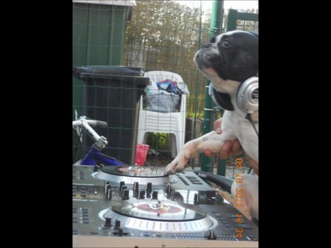 dj noisefight- hardcore jusqu'a la mort remix hardcore