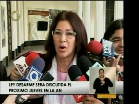 La Ley Desarme será discutida el próximo jueves en la AN, in