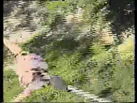 Saut Elastique Moa - Aout-2002