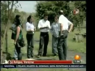 Autoridades buscan a 280 cocodrilos que escaparon de su luga