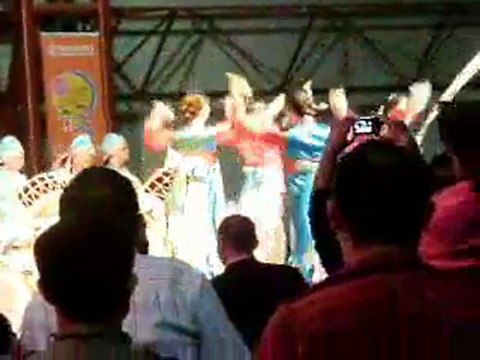 23 Nisan 2010 Güney Kore Gösterisi