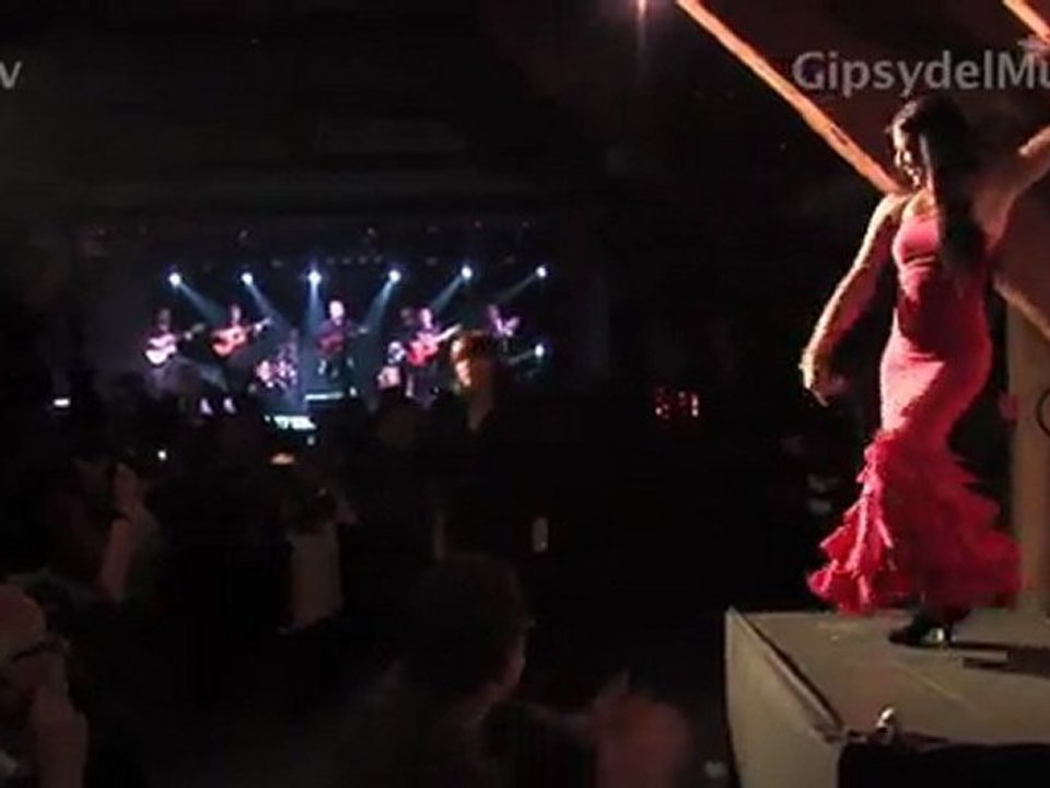 Gipsy del Mundo : Extraits concert privé - Mas de Peint le 24 mars 2011