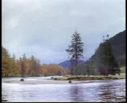 Pub - La difficile pêche aux saumons