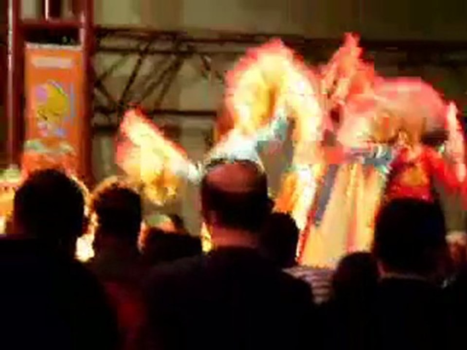 23 Nisan 2010 Güney Kore Gösterisi 3