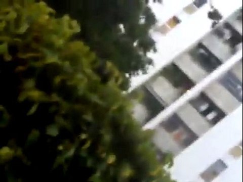 chavistas haciendo campaña