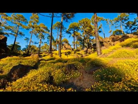 Ney sesi ve eşsiz doğa manzaraları tek keme ile mükemmel