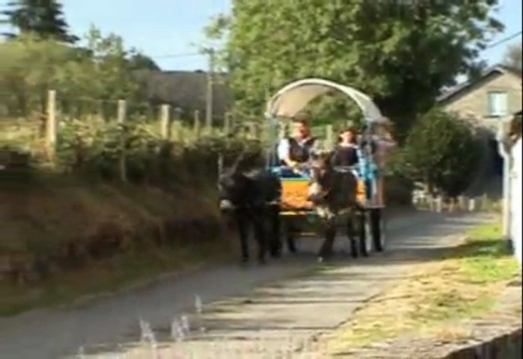 Balade avec deux ânes attelés, à Vielzot en Corrèze