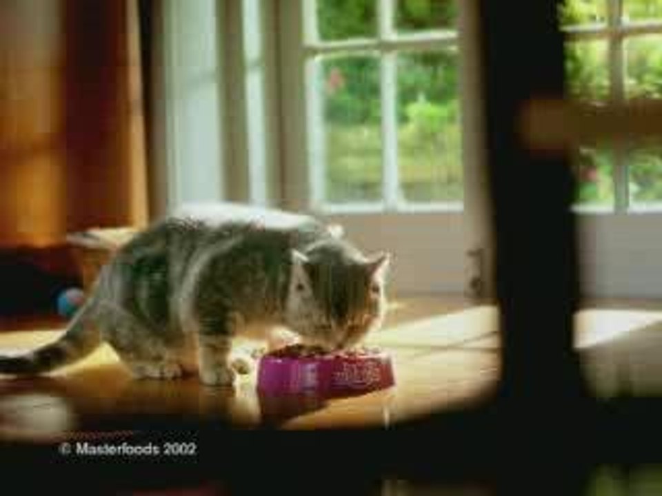 Pub - Whiskas