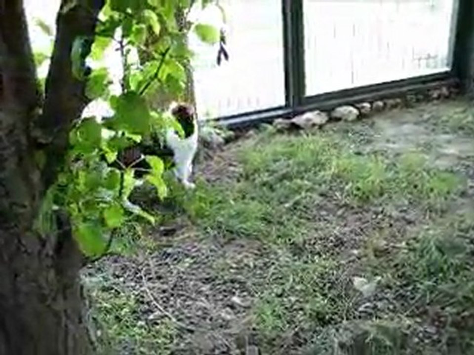 Le jardin protege
