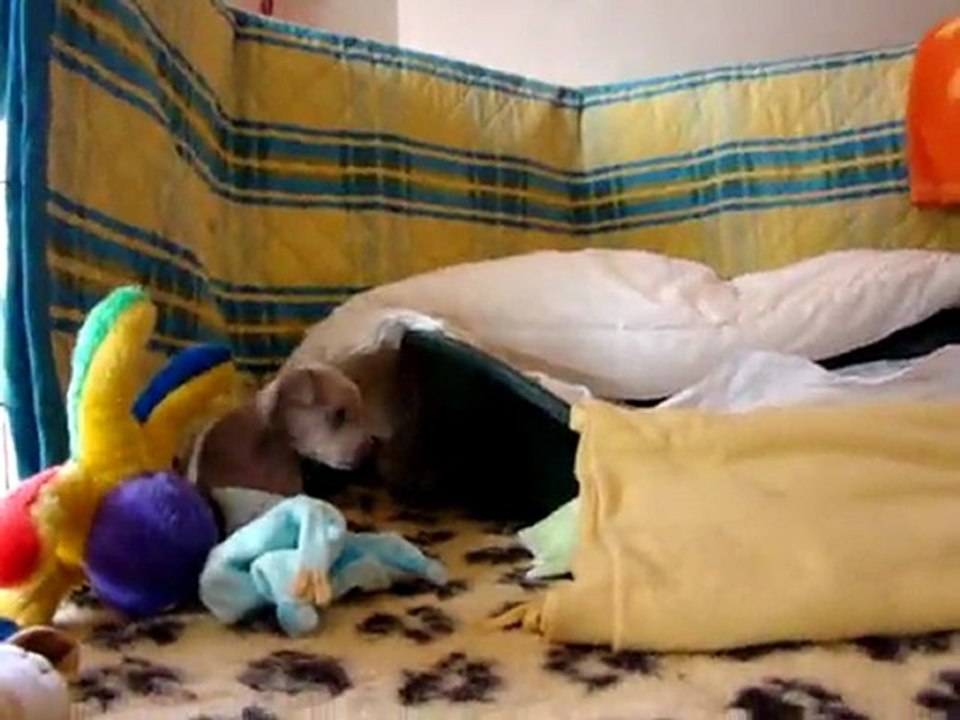 bb 3 semaines 23 avr 006